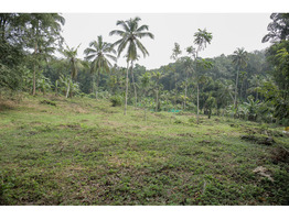 1 Acre 50 cent Residential plot sale at Cheriyanthi mukku,Pathanamthitta District