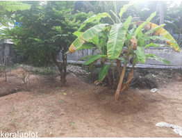 11.5 cent land with 1750 sqft house sale near by medical college,Gowri Nagar