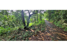 1.2 Acre land  for sale near by  Shoolam Water Fall,muvattupuzha