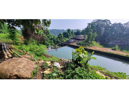 1.2 Acre land  for sale near by  Shoolam Water Fall,muvattupuzha