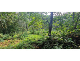 1.2 Acre land  for sale near by  Shoolam Water Fall,muvattupuzha