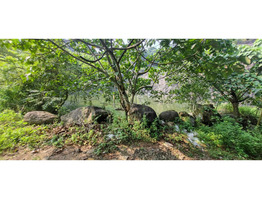 1.2 Acre land  for sale near by  Shoolam Water Fall,muvattupuzha