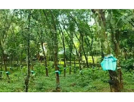 1.5 Acre Rubber Plantation sale near by  Piravom,Ernakulam District