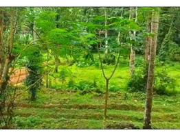 1.5 Acre Rubber Plantation sale near by  Piravom,Ernakulam District