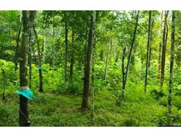 1.5 Acre Rubber Plantation sale near by  Piravom,Ernakulam District