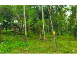 1.5 Acre Rubber Plantation sale near by  Piravom,Ernakulam District