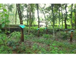 1.5 Acre Rubber Plantation sale near by  Piravom,Ernakulam District