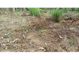 14.75 cent land sale near by  Kuttanellur junction