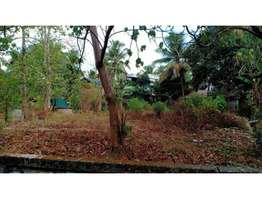 14.75 cent land sale near by  Kuttanellur junction