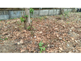 14.75 cent land sale near by  Kuttanellur junction