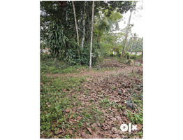 64 cent commercial plot for sale near by kodungallur,Perinjanam  junction