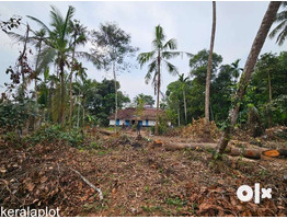 64 cent commercial plot for sale near by kodungallur,Perinjanam  junction