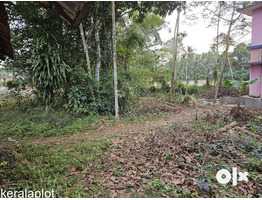 64 cent commercial plot for sale near by kodungallur,Perinjanam  junction