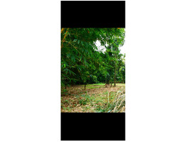 10 CENT LAND FOR SALE SALE NEAR BY Aluva,Kadunghallur,Karivelikadavu