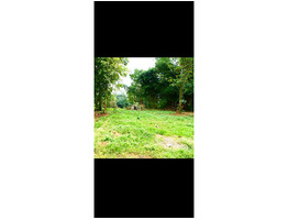 10 CENT LAND FOR SALE SALE NEAR BY Aluva,Kadunghallur,Karivelikadavu