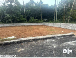 20 Cent Premium House Plot For sale Near by Elavoor  kavala