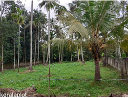 17 Cent  land  for sale near by Parakkadavu Village,Ernakulam District