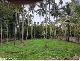 17 Cent  land  for sale near by Parakkadavu Village,Ernakulam District