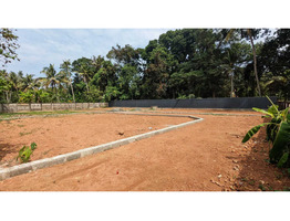 19 Cent Residential Land For Sale Near By udayamperoor ameda