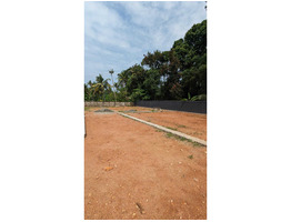 19 Cent Residential Land For Sale Near By udayamperoor ameda