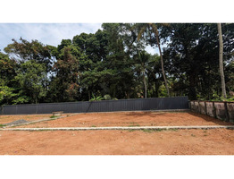 19 Cent Residential Land For Sale Near By udayamperoor ameda