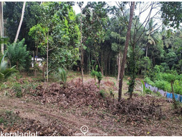 3.5 acres Land For Sale  in Poomala, Thrissur District