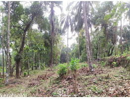 3.5 acres Land For Sale  in Poomala, Thrissur District