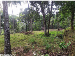 3.5 acres Land For Sale  in Poomala, Thrissur District