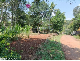 16.5 Cent Residential Land For Sale Near by mallapally padimon