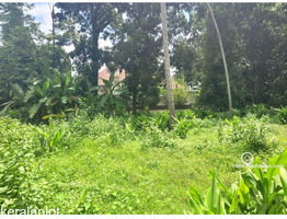 Residential Land for Sale in Elavoor, Angamaly, Ernakulam