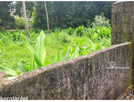 Residential Land for Sale in Elavoor, Angamaly, Ernakulam