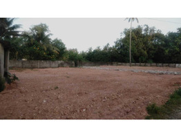 11 Cent Residential Land For Sale Near By edappally cheranallur NH