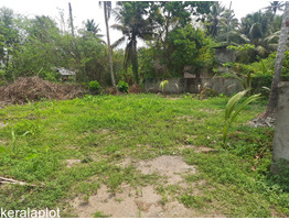 9.75 cent land for sale near by vadakkan paravoor,panorama nagar