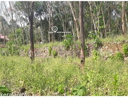 Residential Land for Sale in Naranganam, Kozhencherry, Pathanamthitta District