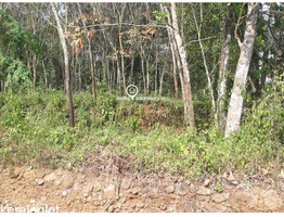 Residential Land for Sale in Naranganam, Kozhencherry, Pathanamthitta District