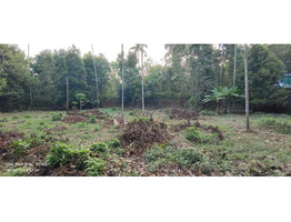 40 cents land for sale in the Heart of Muvattupuzha Town