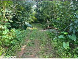 65.5  cents land for sale near by  perumbavoor Koovappady, Sidhen Kavala