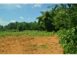 Mattumantha eco Project