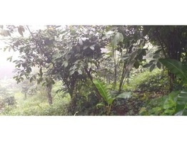 Plot for sale in Munnar-Cochin Highway.