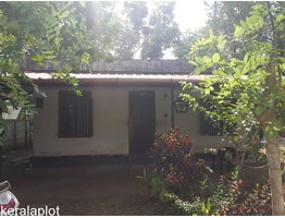 11cent plot with house, thattampadi, aluva