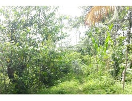 2.10 acre land available in Wayanad @ 23 lakh….