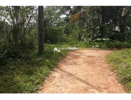 2.10 acre land available in Wayanad @ 23 lakh….