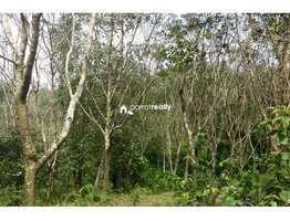 2.10 acre land available in Wayanad @ 23 lakh….