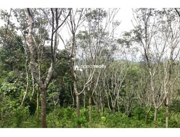 2.10 acre land available in Wayanad @ 23 lakh….