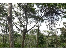 2.10 acre land available in Wayanad @ 23 lakh….