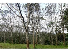 2.10 acre land available in Wayanad @ 23 lakh….