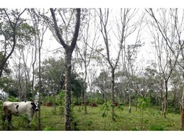 2.10 acre land available in Wayanad @ 23 lakh….