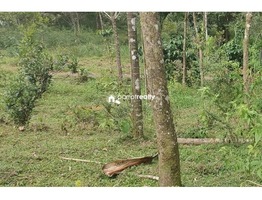 2 acre land for sale near Valad @ 13 lakh/acre