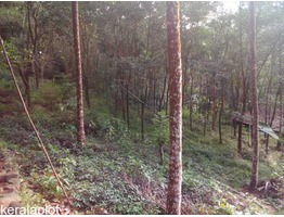 1 acre farm land for sale near kaliyampuzha junction in Kozhikode district