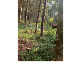 1 acre farm land for sale near kaliyampuzha junction in Kozhikode district